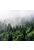 fototapet  bjerglandskab med træer grønt af Sanders & Sanders