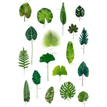 fototapet  tropiske jungleblade tropisk junglegrønt af ESTAhome