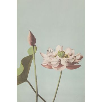 fototapet  lotusblomst antikrosa af ESTAhome