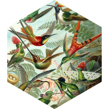 wallsticker fugle tropisk junglegrønt af ESTAhome