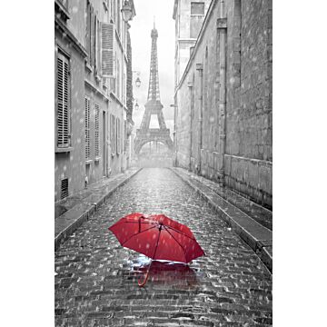 fototapet  Paris sort-hvid-rød paraply gråt og rødt af ESTAhome