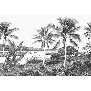 fototapet  tropisk landskab med palmetræer sort og hvidt af ESTAhome
