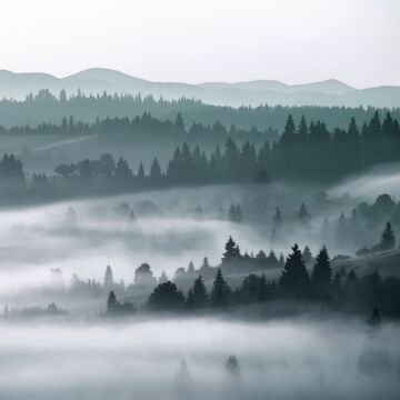 fototapet  tågede bjerge grønt af ESTAhome