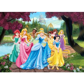 plakat Prinsesser lyserødt, gul og blåt af Disney