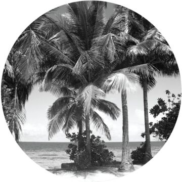 selvklæbende fototapet rundt tropisk landskab med palmetræer sort og gråt af Sanders & Sanders
