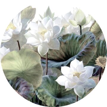 selvklæbende fototapet rundt tropiske blade og blomster grønt og hvidt af Sanders & Sanders
