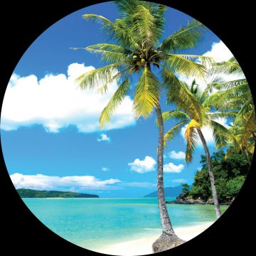 selvklæbende fototapet rundt tropisk landskab med palmetræer blåt og grønt af Sanders & Sanders
