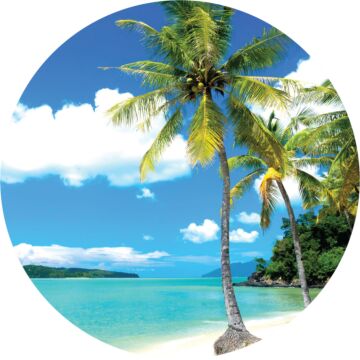 selvklæbende fototapet rundt tropisk landskab med palmetræer blåt og grønt af Sanders & Sanders