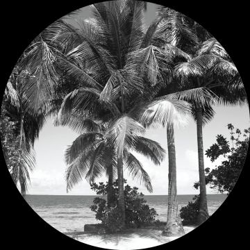 selvklæbende fototapet rundt tropisk landskab med palmetræer sort og hvidt af Sanders & Sanders