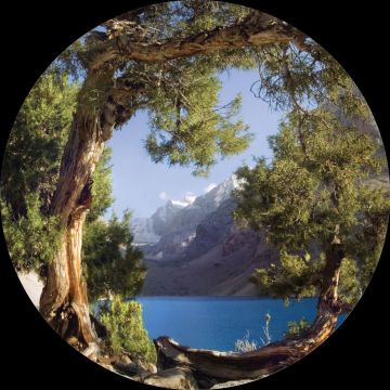 selvklæbende fototapet rundt bjerglandskab med træer grønt, blåt og beige af Sanders & Sanders