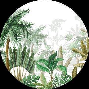 selvklæbende fototapet rundt tropiske jungleblade unglegrønt af Sanders & Sanders