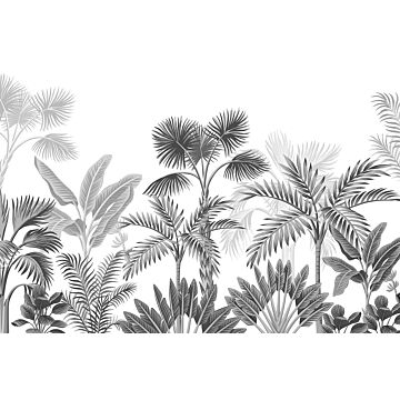 fototapet  tropisk landskab med palmetræer sort og hvidt af Sanders & Sanders