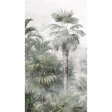 fototapet  tropisk landskab med palmetræer mørkegrønt og gråt af Sanders & Sanders