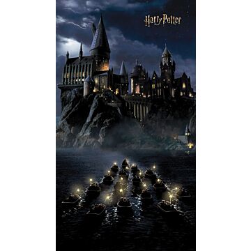 fototapet  Harry Potter Hogwarts sort og mørkeblåt af Sanders & Sanders