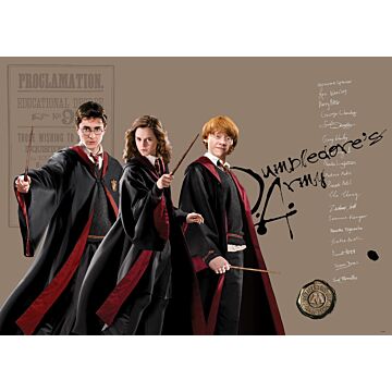 plakat Harry Potter, Hermione Granger, Ron Weasley beige, sort og rødt af Sanders & Sanders