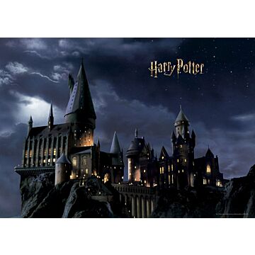 fototapet  Harry Potter Hogwarts sort og mørkeblåt af Sanders & Sanders