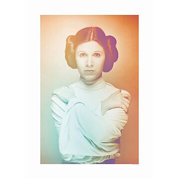 plakat Star Wars Classic Icons Color Leia orange og grønt af Komar