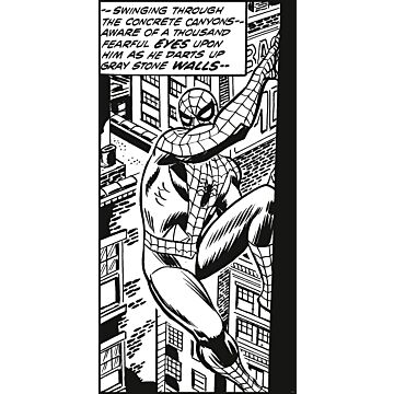 fototapet  Spider-Man sort og hvidt af Komar