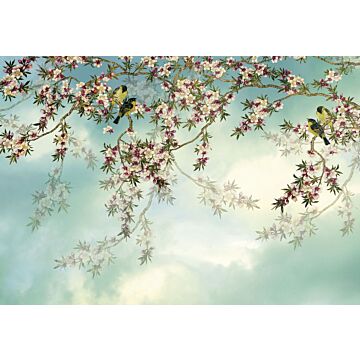 fototapet  Sakura blåt og lyserødt af Komar