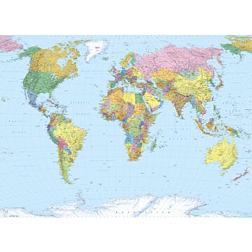 fototapet  World Map mangefarvet af Komar