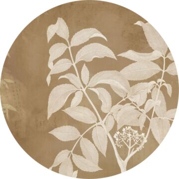 selvklæbende fototapet rundt Blooming Branch beige af Komar