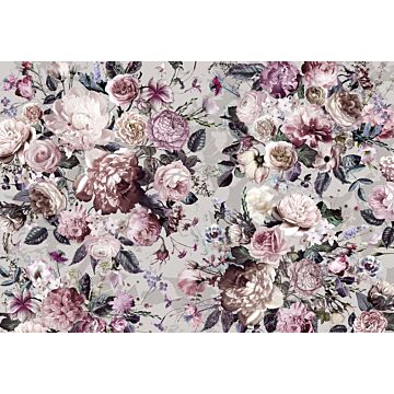 fototapet  Lovely Blossoms lyserødt af Komar
